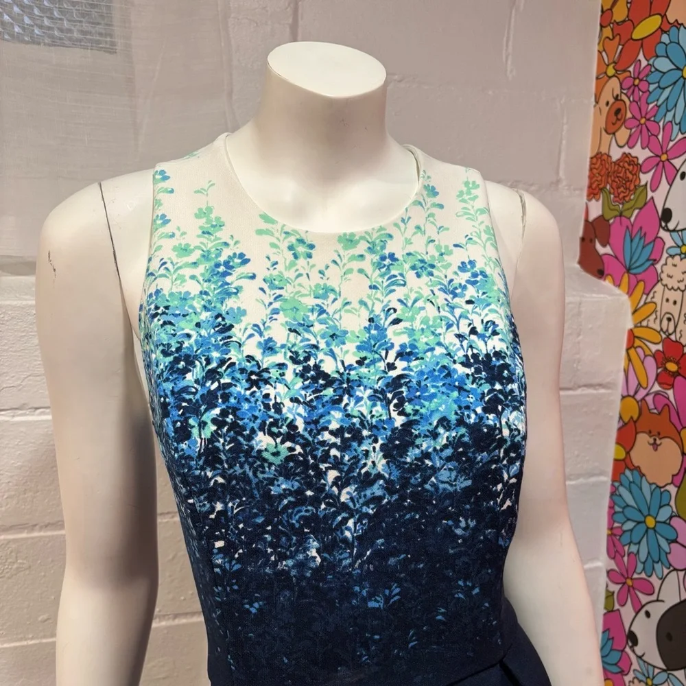 Elegant Blue and White Sleeveless Dress - Picture 2 of 4